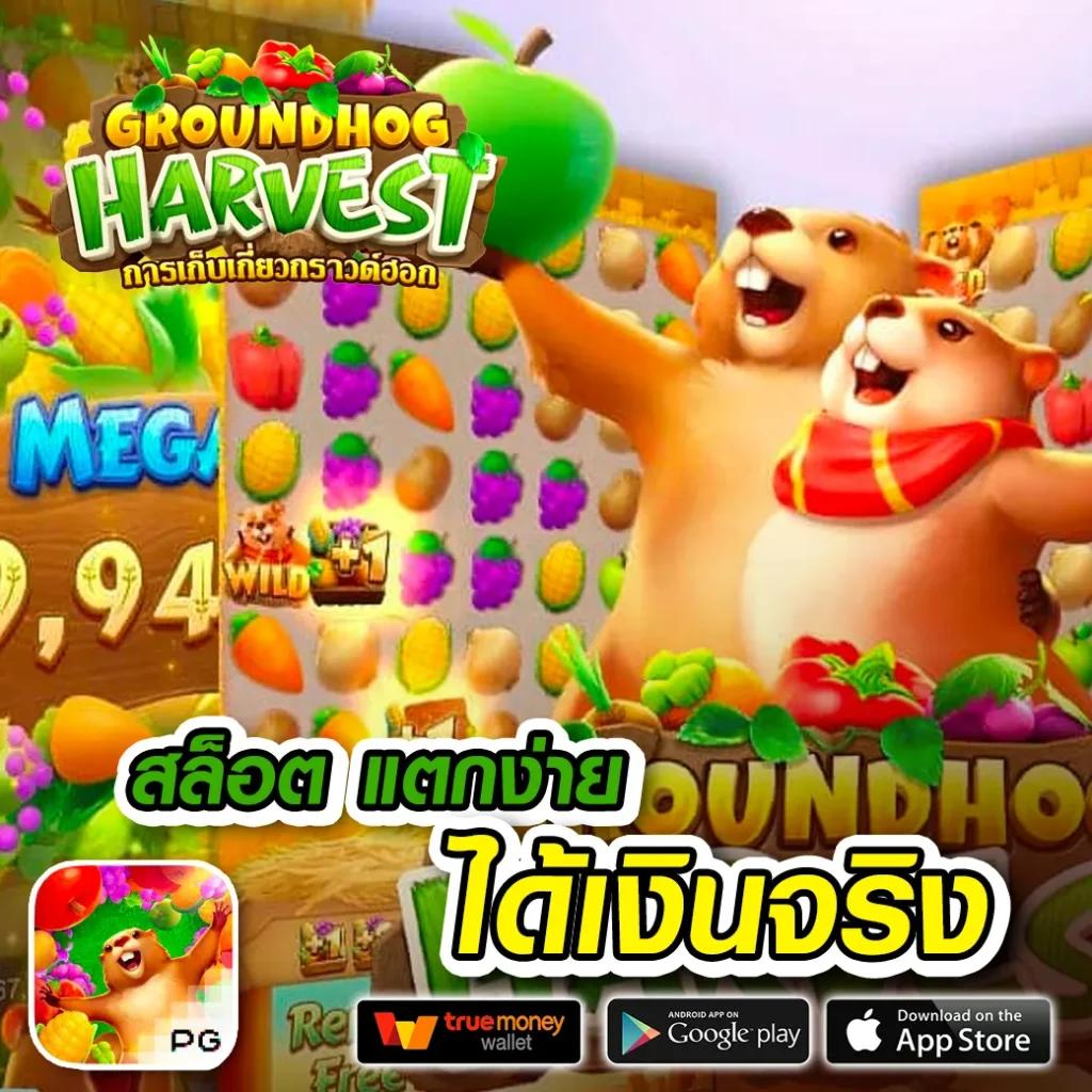 kingkong pg เว็บตรง สล็อต ฝากถอนออโต้ไม่ผ่านเอเย่นต์ 2026